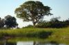 Okavango Delta :: Okavangodelta