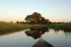 Okavango Delta :: Okavangodelta