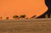 Red dunes :: Sanddnen von Sossusvlei