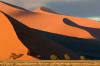 Red dunes :: Sanddnen von Sossusvlei