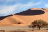 Red dunes :: Sanddnen von Sossusvlei