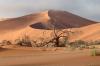 Red dunes :: Sanddnen von Sossusvlei