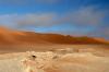 Red dunes :: Sanddnen von Sossusvlei