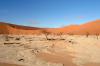 Red dunes :: Sanddnen von Sossusvlei