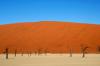 Red dunes :: Sanddnen von Sossusvlei