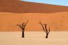 Red dunes :: Sanddünen von Sossusvlei