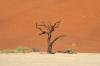 Red dunes :: Sanddnen von Sossusvlei