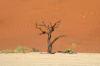 Red dunes :: Sanddünen von Sossusvlei