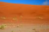 Red dunes :: Sanddnen von Sossusvlei