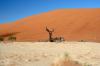 Red dunes :: Sanddnen von Sossusvlei