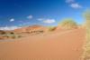 Red dunes :: Sanddnen von Sossusvlei