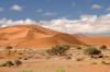 Red dunes :: Sanddnen von Sossusvlei