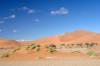 Red dunes :: Sanddnen von Sossusvlei