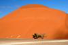 Red dunes :: Sanddnen von Sossusvlei