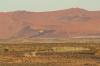 Red dunes :: Sanddnen von Sossusvlei