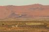 Red dunes :: Sanddnen von Sossusvlei