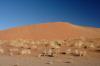 Red dunes :: Sanddnen von Sossusvlei