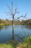 Landschaft