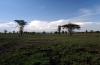 Landschaft