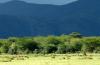 Ngorongoro Crater