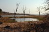 Chete Island  Lake Kariba