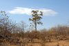 Chete Island  Lake Kariba