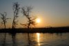 Sunset :: Sonnenuntergang  Lower Zambezi