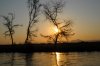 Sunset :: Sonnenuntergang  Lower Zambezi