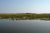 Lower Zambezi