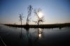 Sunset :: Sonnenuntergang  Lower Zambezi