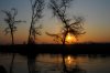 Sunset :: Sonnenuntergang • Lower Zambezi