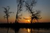 Sunset :: Sonnenuntergang  Lower Zambezi