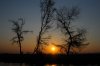 Sunset :: Sonnenuntergang • Lower Zambezi