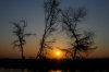 Sunset :: Sonnenuntergang  Lower Zambezi