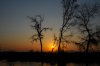 Sunset :: Sonnenuntergang  Lower Zambezi