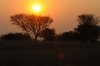 Sunset :: Sonnenuntergang  Kafue National Park