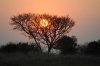 Sunset :: Sonnenuntergang  Kafue National Park