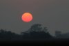 Sunset :: Sonnenuntergang  Kafue National Park