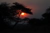 Sunset :: Sonnenuntergang  Kafue National Park