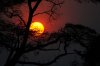 Sunset :: Sonnenuntergang  Kafue National Park