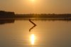 Sunset :: Sonnenuntergang  South Luangwa National Park