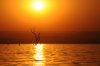 Sunset :: Sonnenuntergang  Lake Kariba