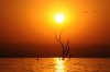 Sunset :: Sonnenuntergang  Lake Kariba