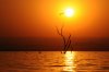 Sunset :: Sonnenuntergang  Lake Kariba