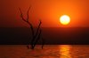 Sunset :: Sonnenuntergang  Lake Kariba