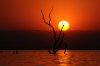 Sunset :: Sonnenuntergang  Lake Kariba