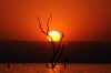 Sunset :: Sonnenuntergang  Lake Kariba